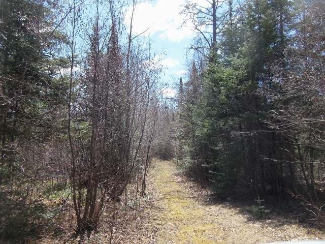 4651 Camp 7 Road Hurley, WI 54534 - Photo 7 of 14 Gallery Image 7