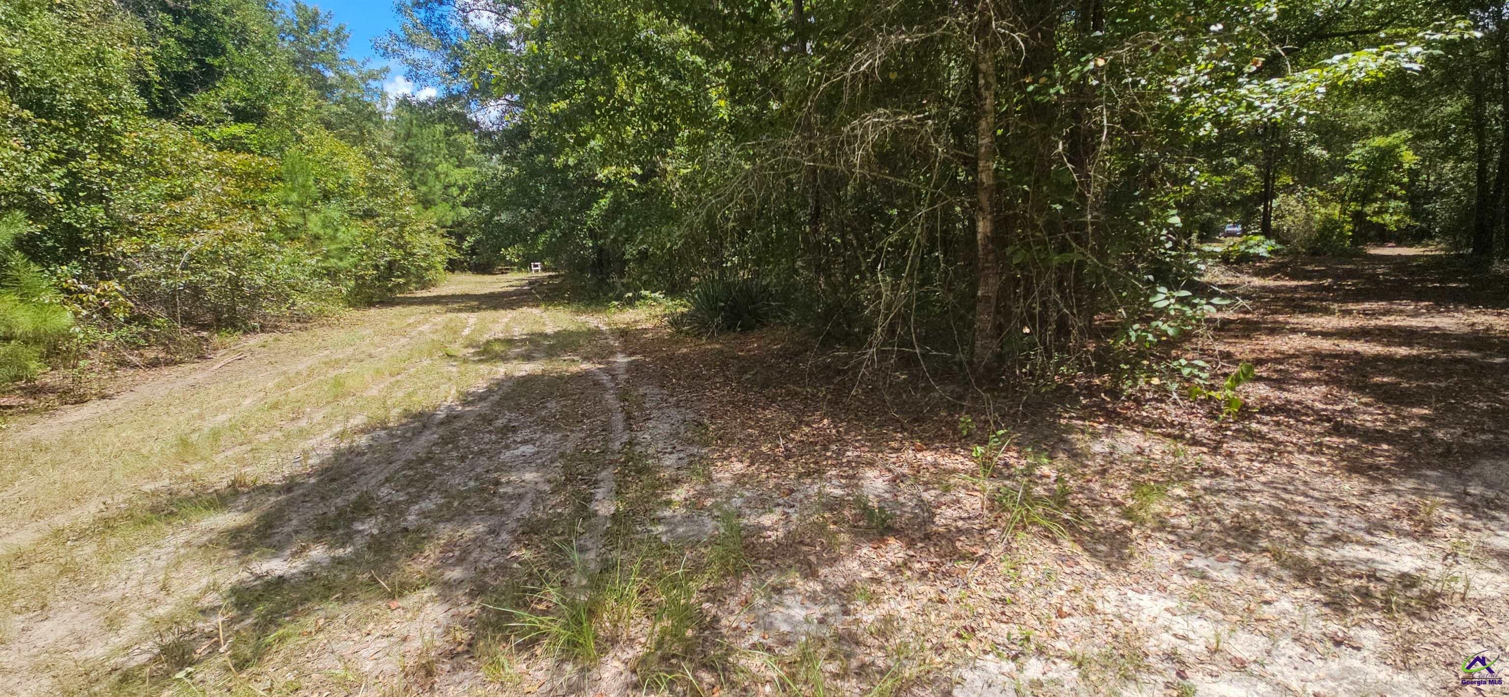 0 Priest Road Vienna, GA 31092 - Photo 22 of 26 Gallery Image 22