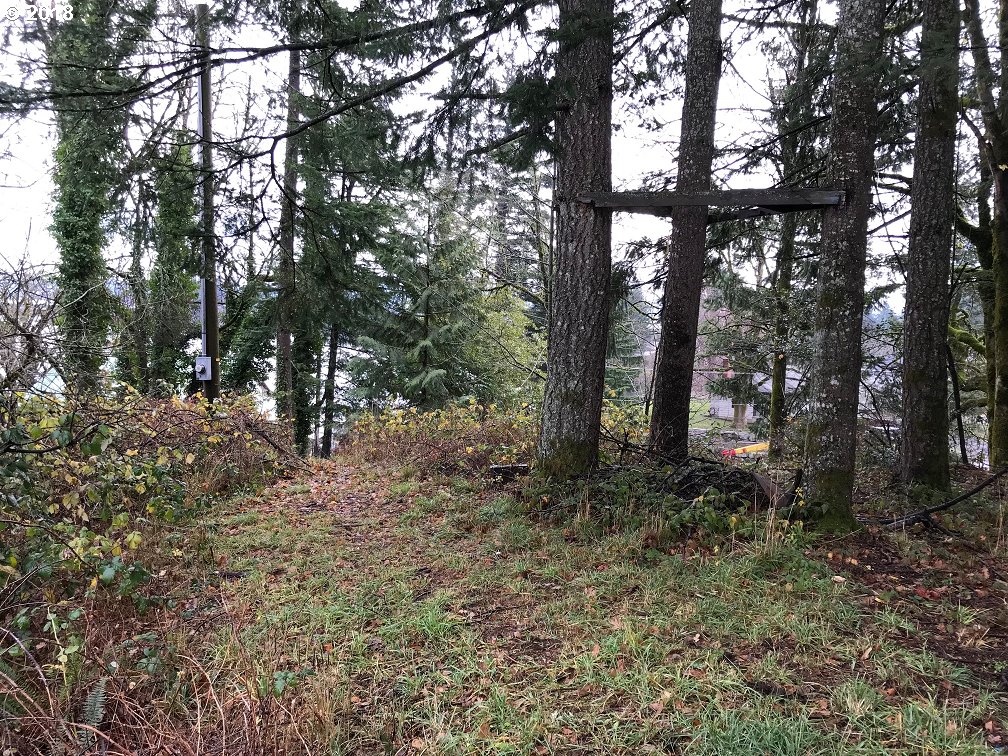201 Southwest Attwell Road Stevenson, WA 98648 - Photo 3 of 7 Gallery Image 3
