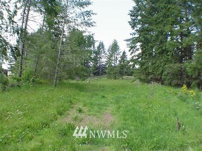 -xxx Ramsey Road Chehalis, WA 98532 - Photo 1 of 1