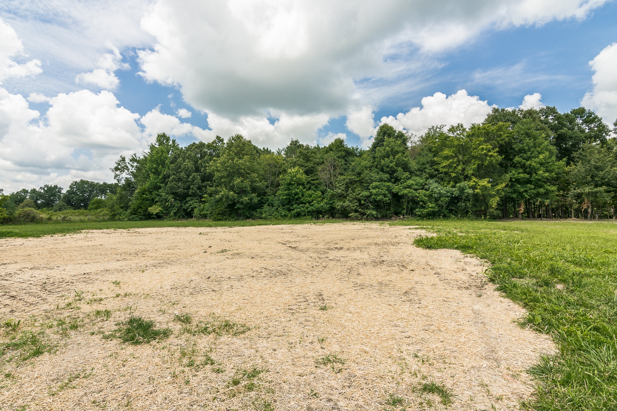 1267 Smiley Troutt Road Bethpage, TN 37022 - Photo 33 of 34 a view of yard with swimming pool and green space