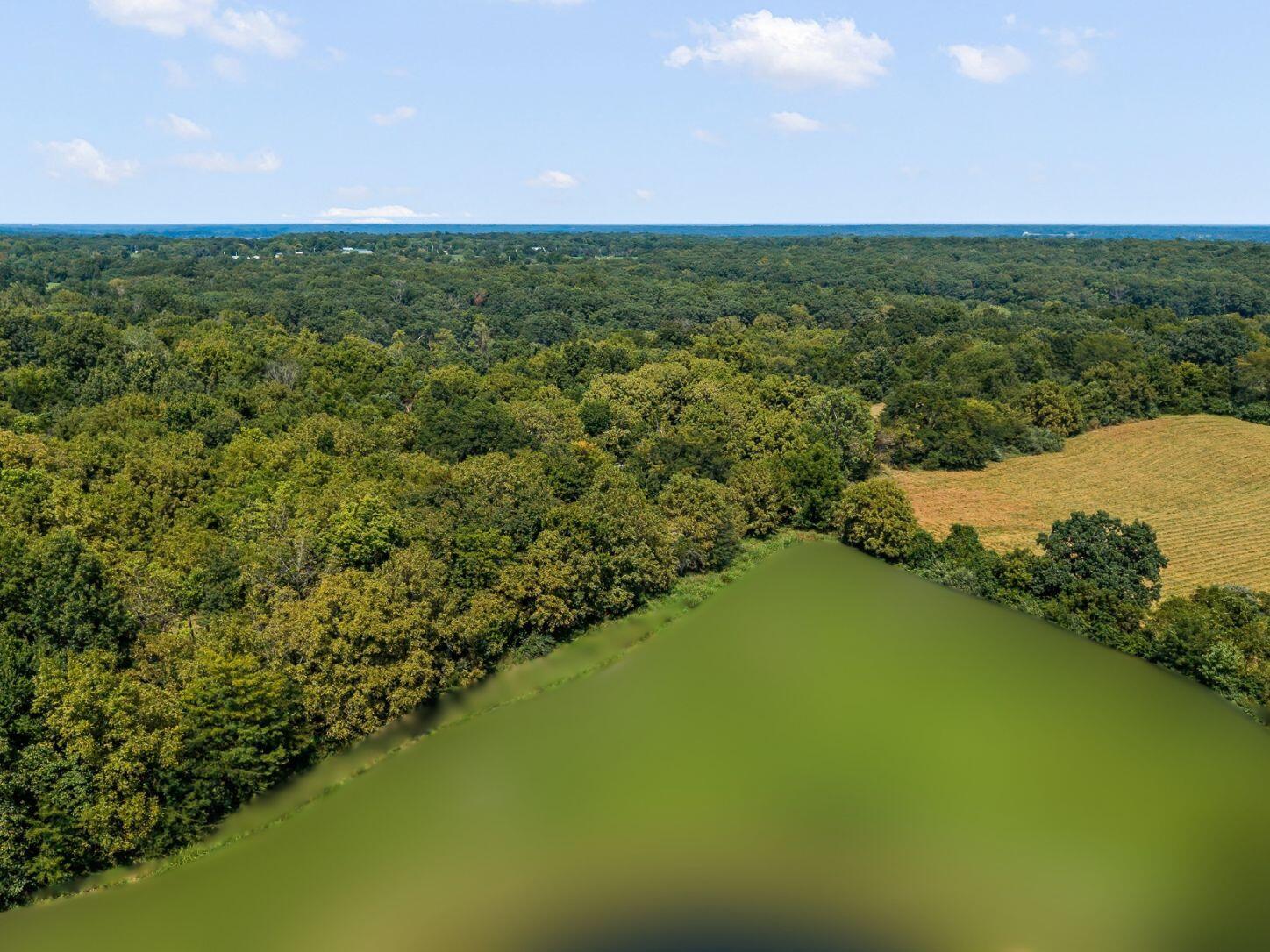 4008 Mo Road Holts Summit, MO 65043 - Photo 6 of 14 Gallery Image 6