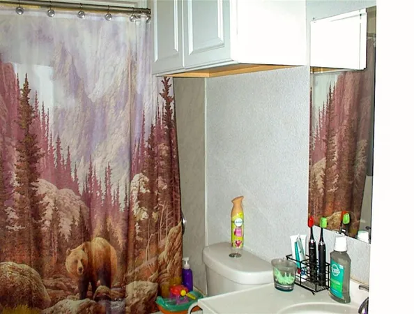 a bathroom with a shower curtain and a mirror
