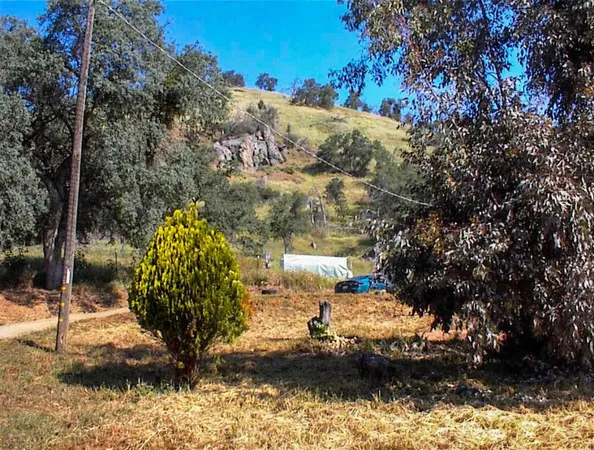 a view of outdoor space and city view
