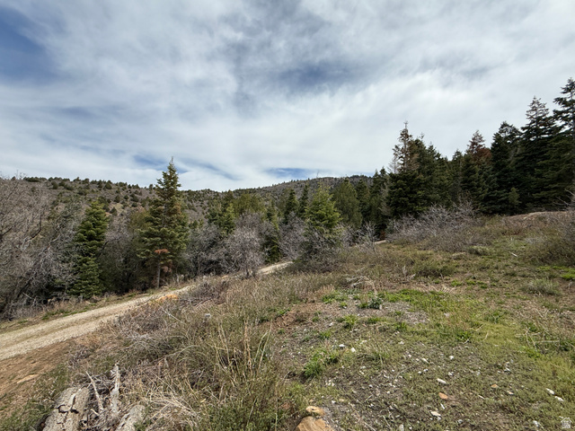 10 Ranch Road, Unit V10 Mount Pleasant, UT 84647 - Photo 15 of 28