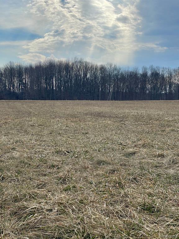 7415 West Frances Road Flushing, MI 48433 - Photo 4 of 5 Gallery Image 4
