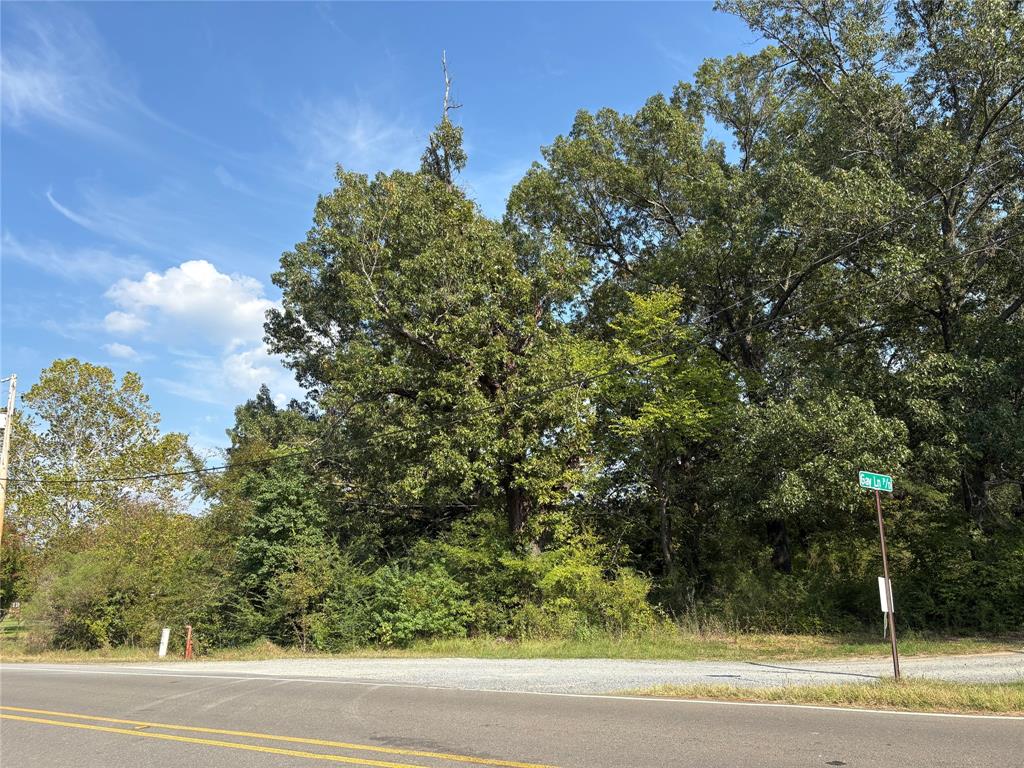 10497 Ferry Lake Road Oil City, LA 71061 - Photo 1 of 3 View from Ferry Lake Road