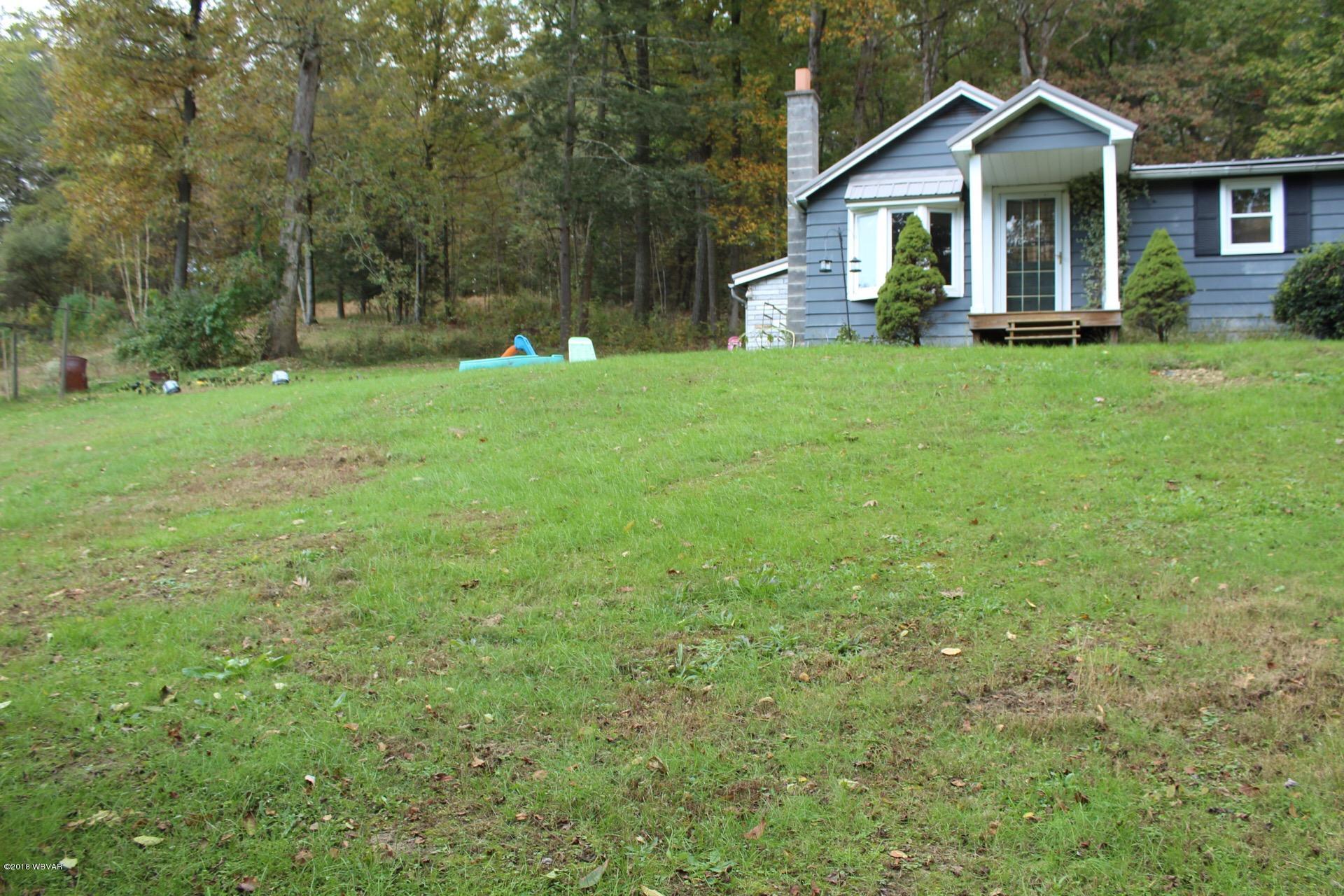 421 Spook Hollow Road Linden, PA 17744 - Photo 25 of 28 Side Yard