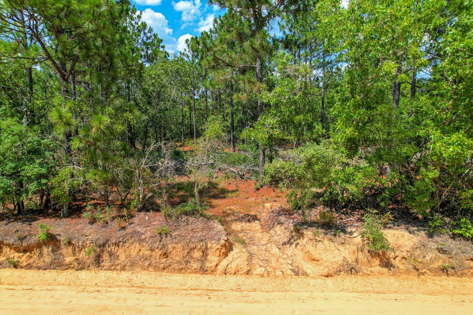 0 Big Branch Road Aiken, SC 29805 - Photo 3 of 14