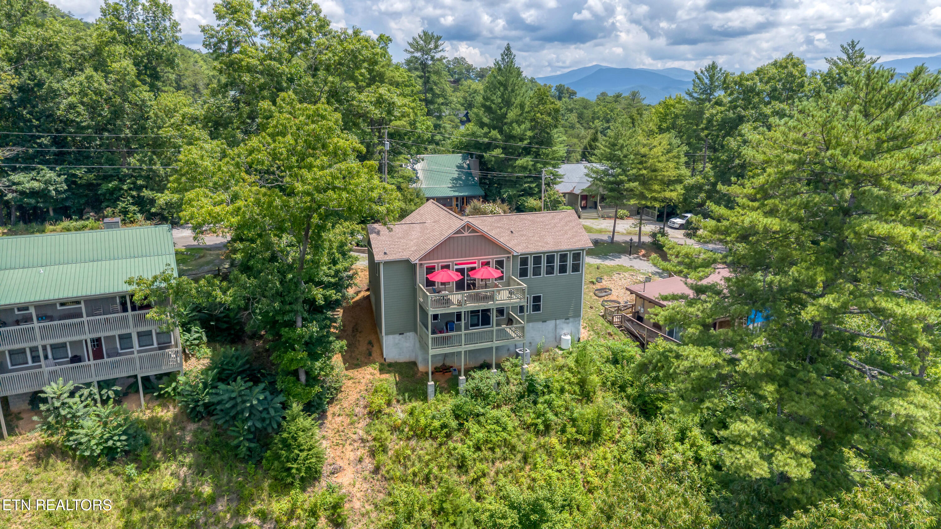 228 Ace Gap Road Townsend, TN 37882 - Photo 46 of 48 Drone Shot