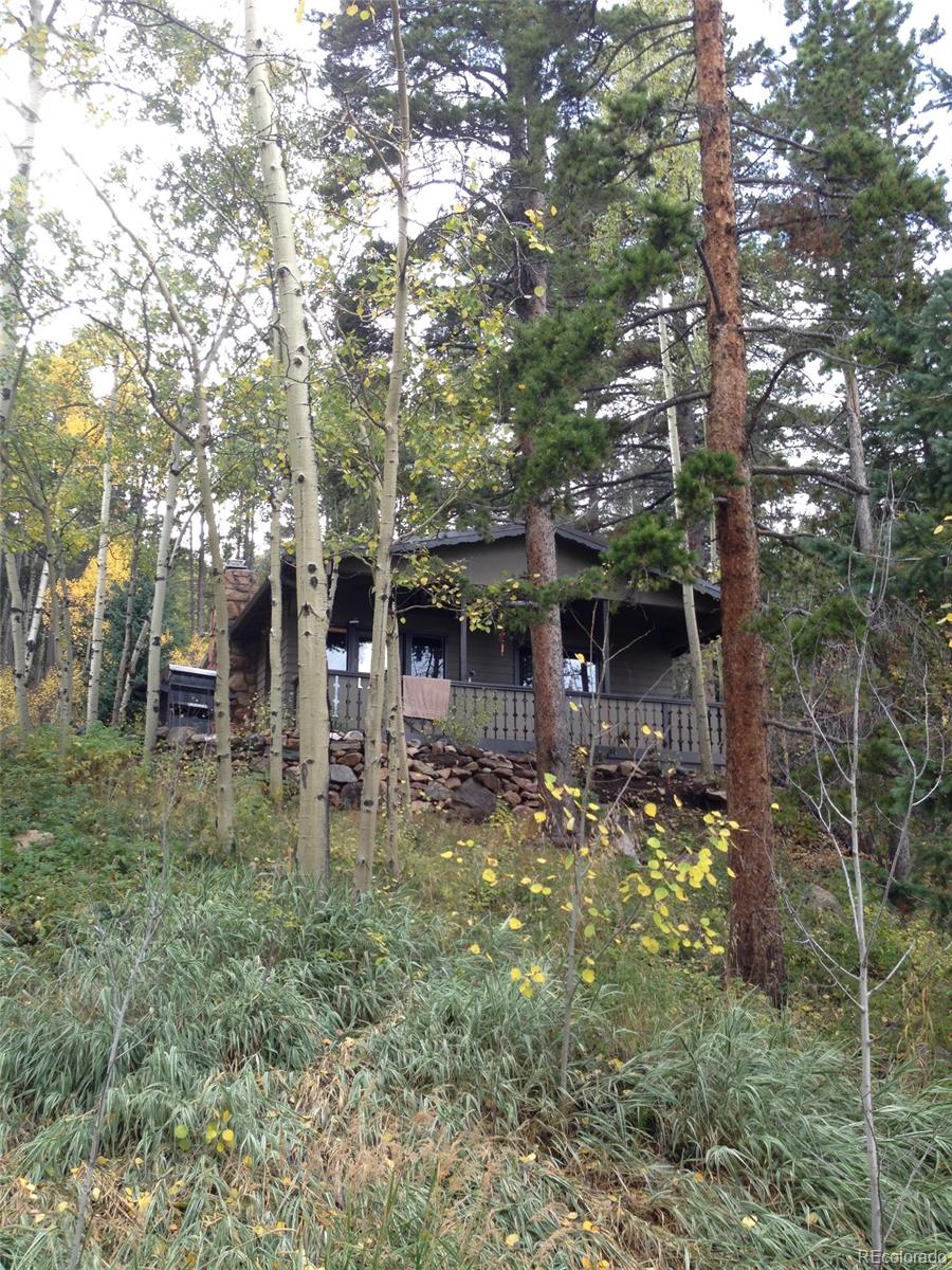 103 Brook Road Evergreen, CO 80439 - Photo 11 of 35 Gallery Image 11