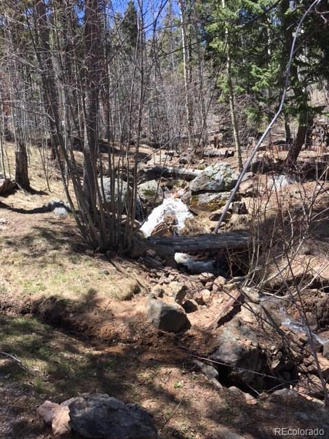103 Brook Road Evergreen, CO 80439 - Photo 34 of 35 Gallery Image 34