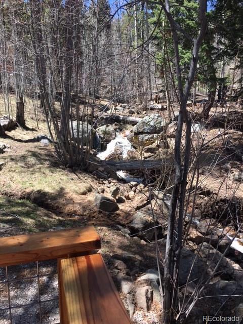 103 Brook Road Evergreen, CO 80439 - Photo 8 of 35 Gallery Image 8