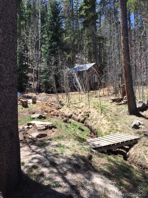 103 Brook Road Evergreen, CO 80439 - Photo 10 of 35 Gallery Image 10