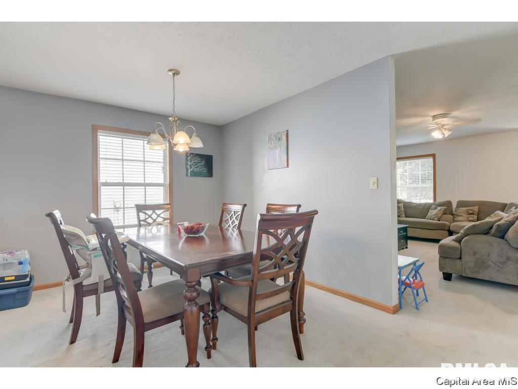 3917 McCormick Drive Springfield, IL 62707 - Photo 26 of 33