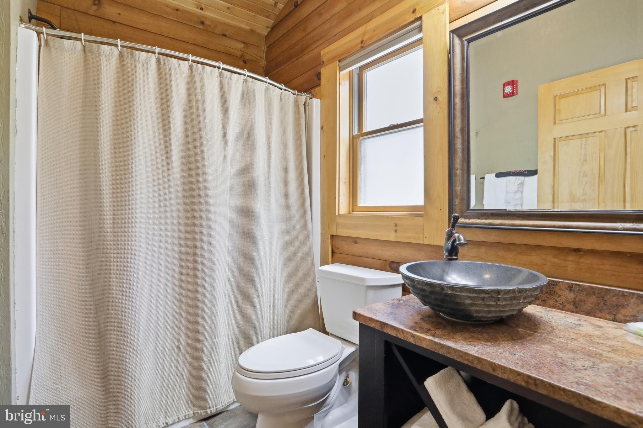 199 Cabin Lodge Road McHenry, MD 21541 - Photo 8 of 19