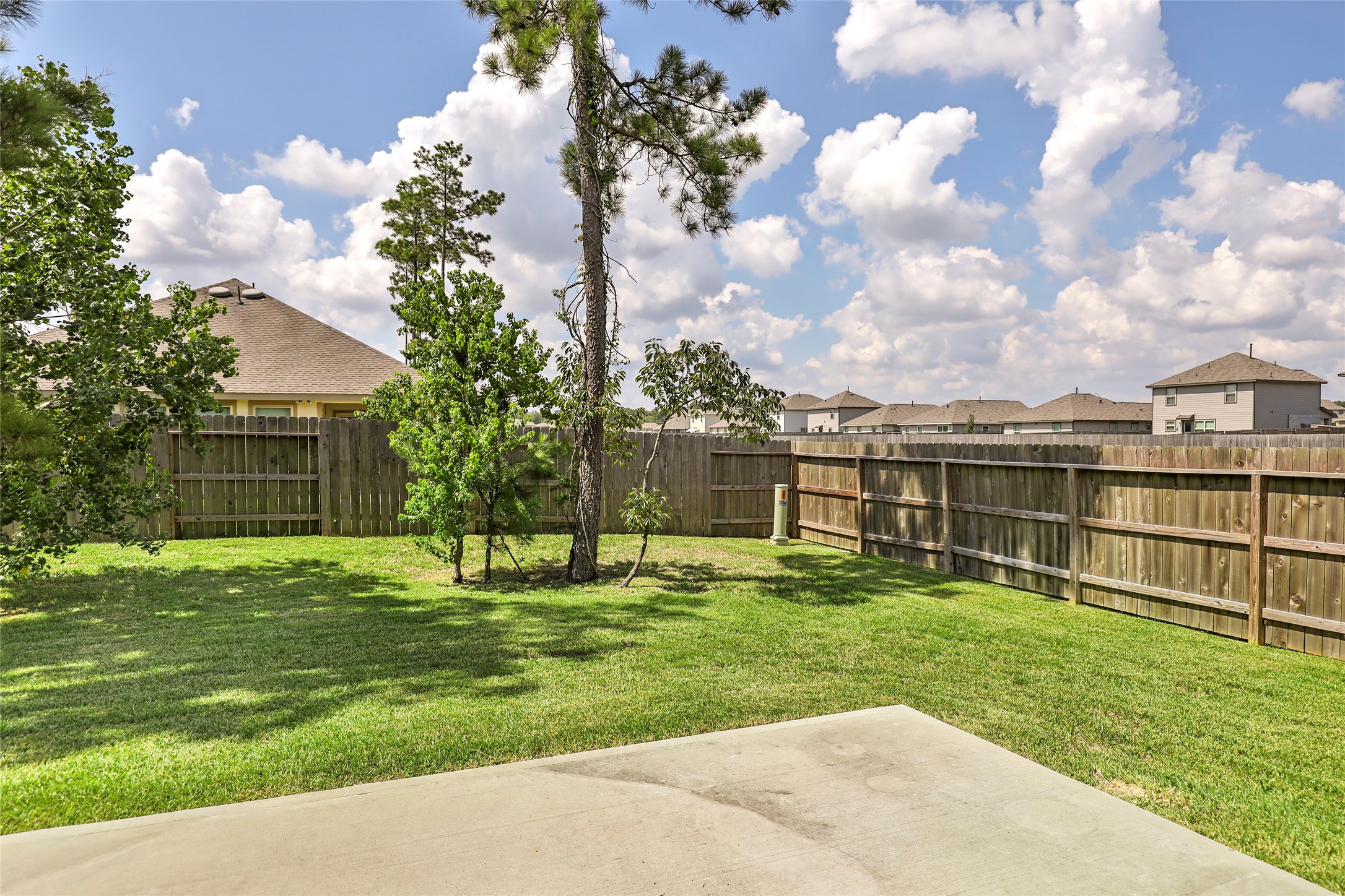 4519 Whitehaven Ridge Way Porter, TX 77365 - Photo 6 of 35 a view of a backyard with a garden and plants