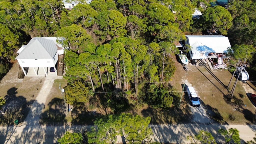 315 Howell Street St. George Island, FL 32328 - Photo 5 of 9
