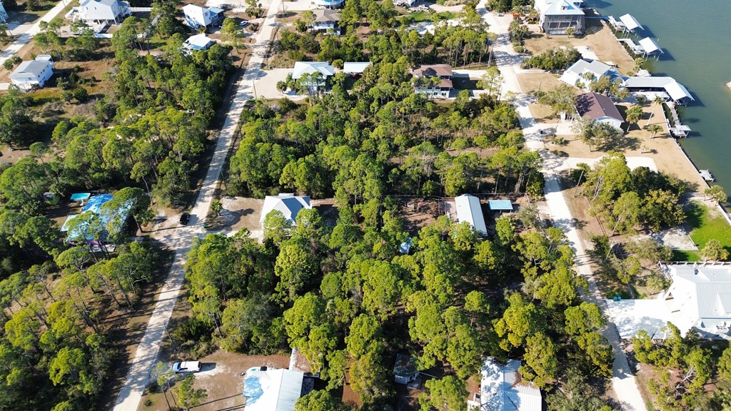 315 Howell Street St. George Island, FL 32328 - Photo 6 of 9