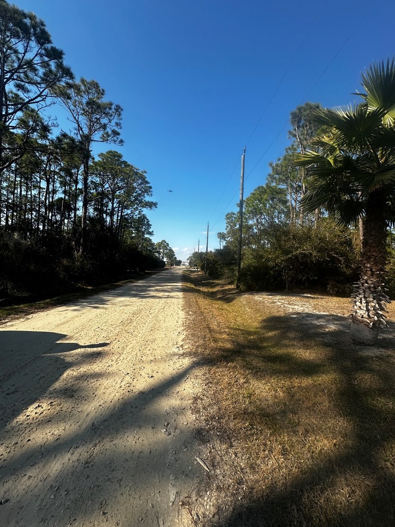 315 Howell Street St. George Island, FL 32328 - Photo 8 of 9