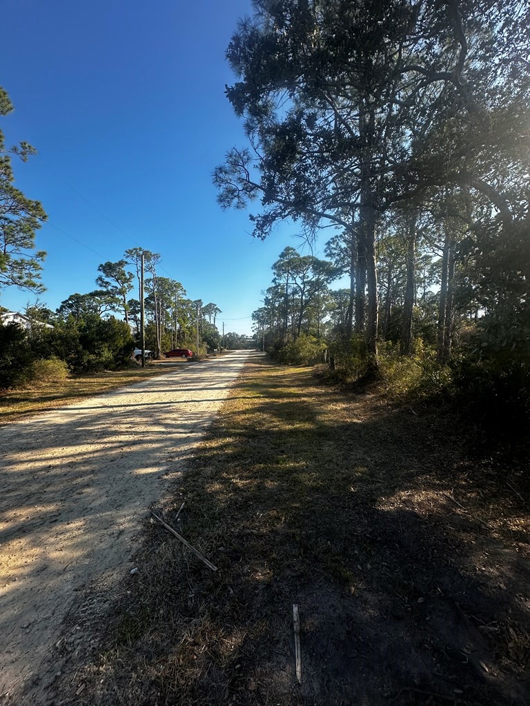 315 Howell Street St. George Island, FL 32328 - Photo 9 of 9