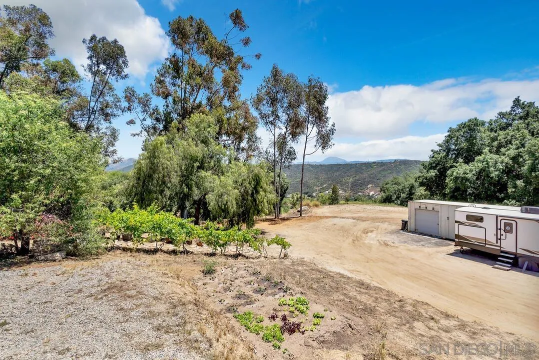 1356 Real Way Lane Alpine, CA 91901 - Photo 27 of 58 a view of a yard with plants and trees