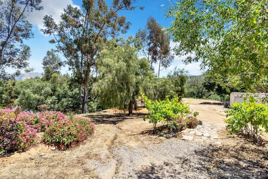 1356 Real Way Lane Alpine, CA 91901 - Photo 36 of 58 a view of a garden with plants