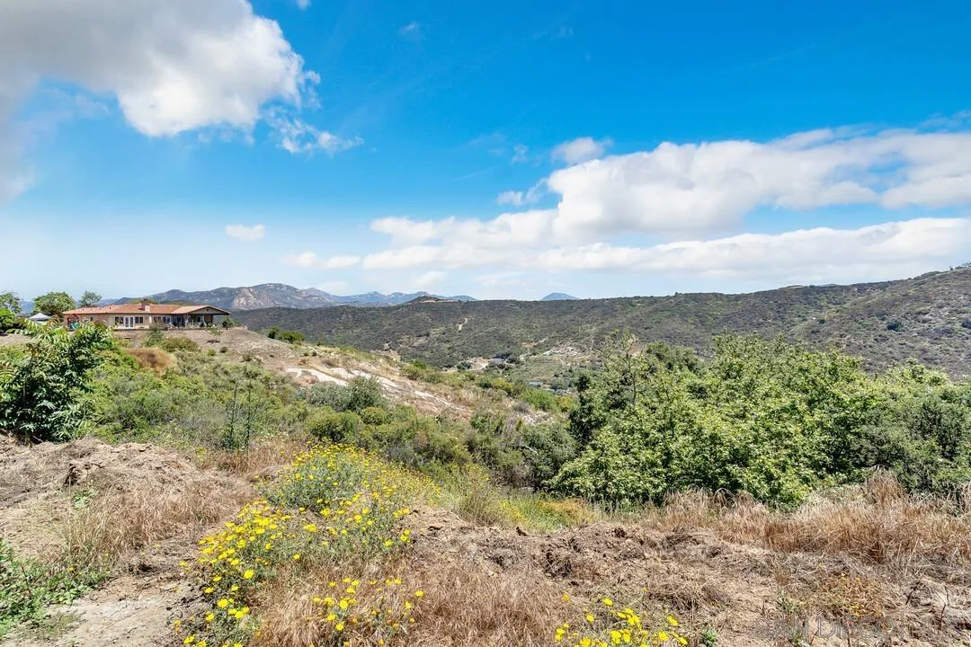 1356 Real Way Lane Alpine, CA 91901 - Photo 40 of 58 a view of a lush green forest with lots of trees