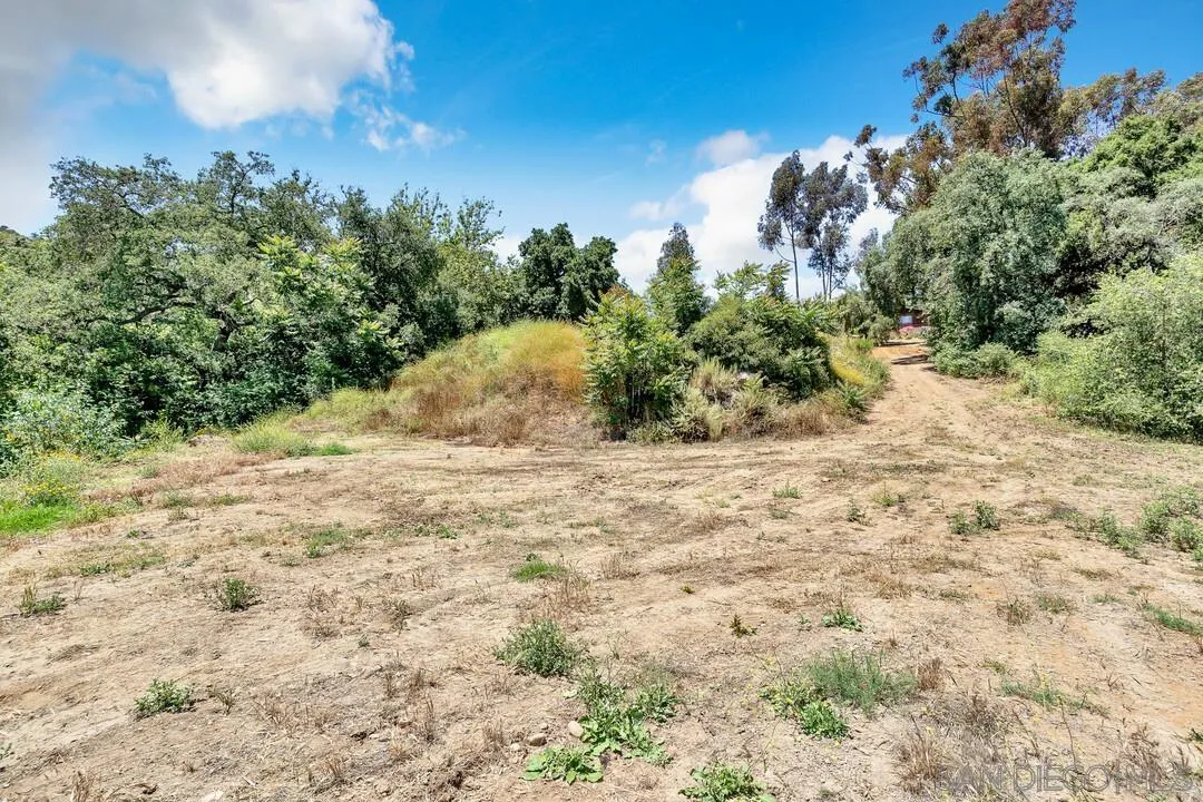 1356 Real Way Lane Alpine, CA 91901 - Photo 41 of 58 a view of a yard with large trees