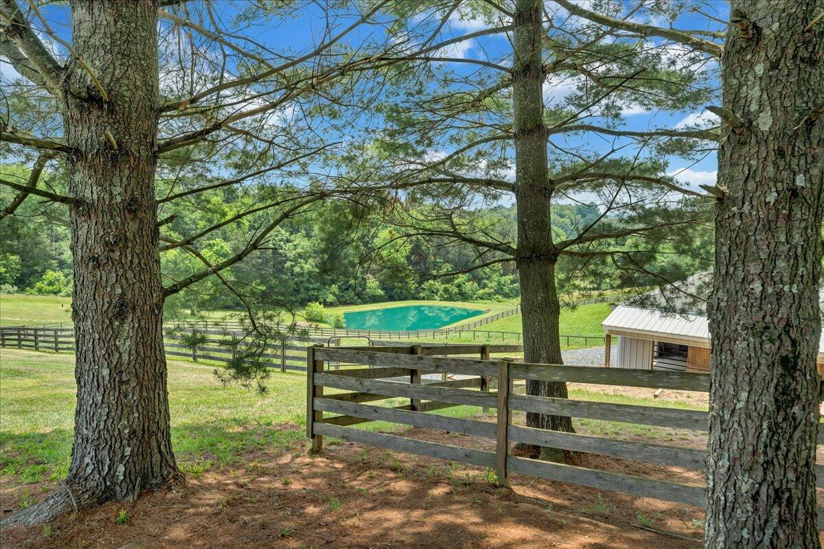 1558 Prease Road Buchanan, VA 24066 - Photo 46 of 53 Georgous grounds!