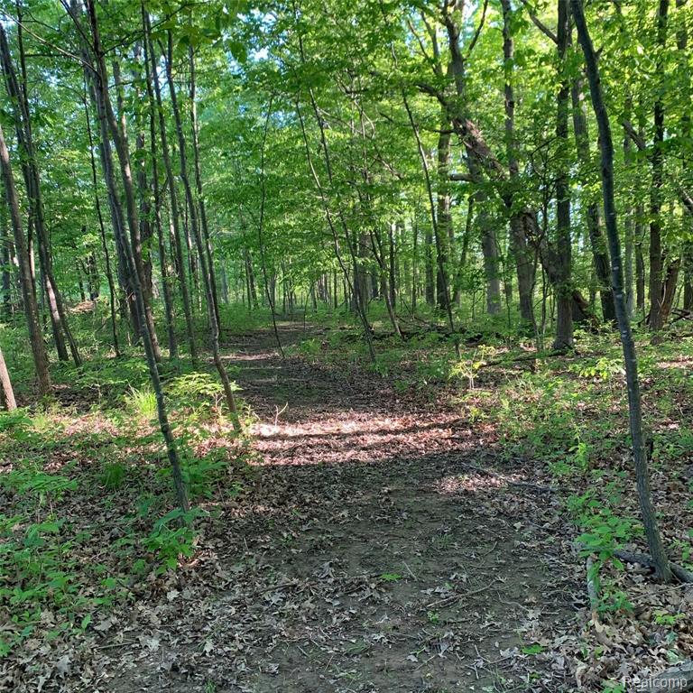 12088 Jerusalem Road Chelsea, MI 48118 - Photo 6 of 40