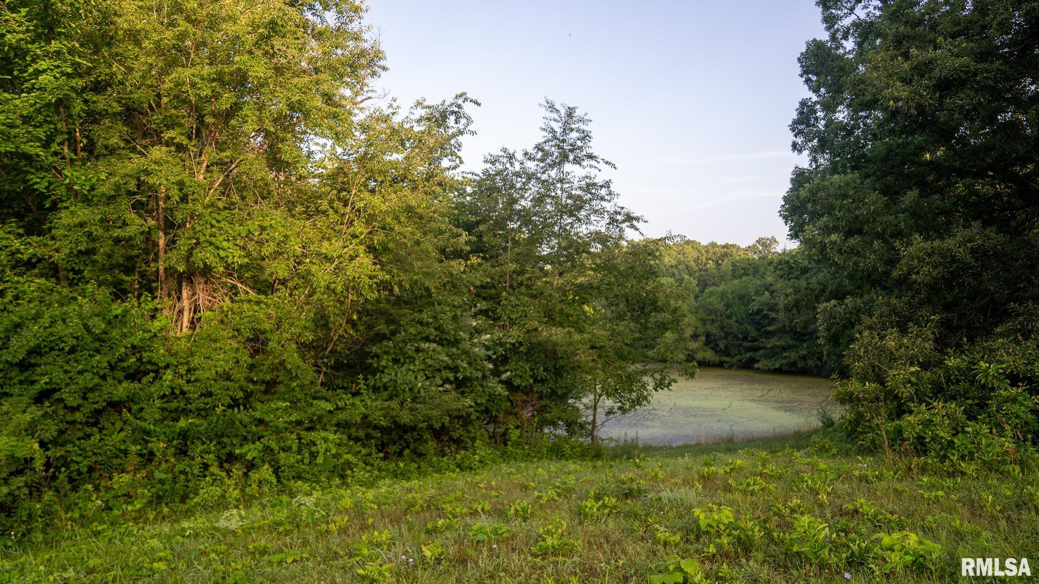 1 Preston Hollow Road Murrayville, IL 62668 - Photo 39 of 45
