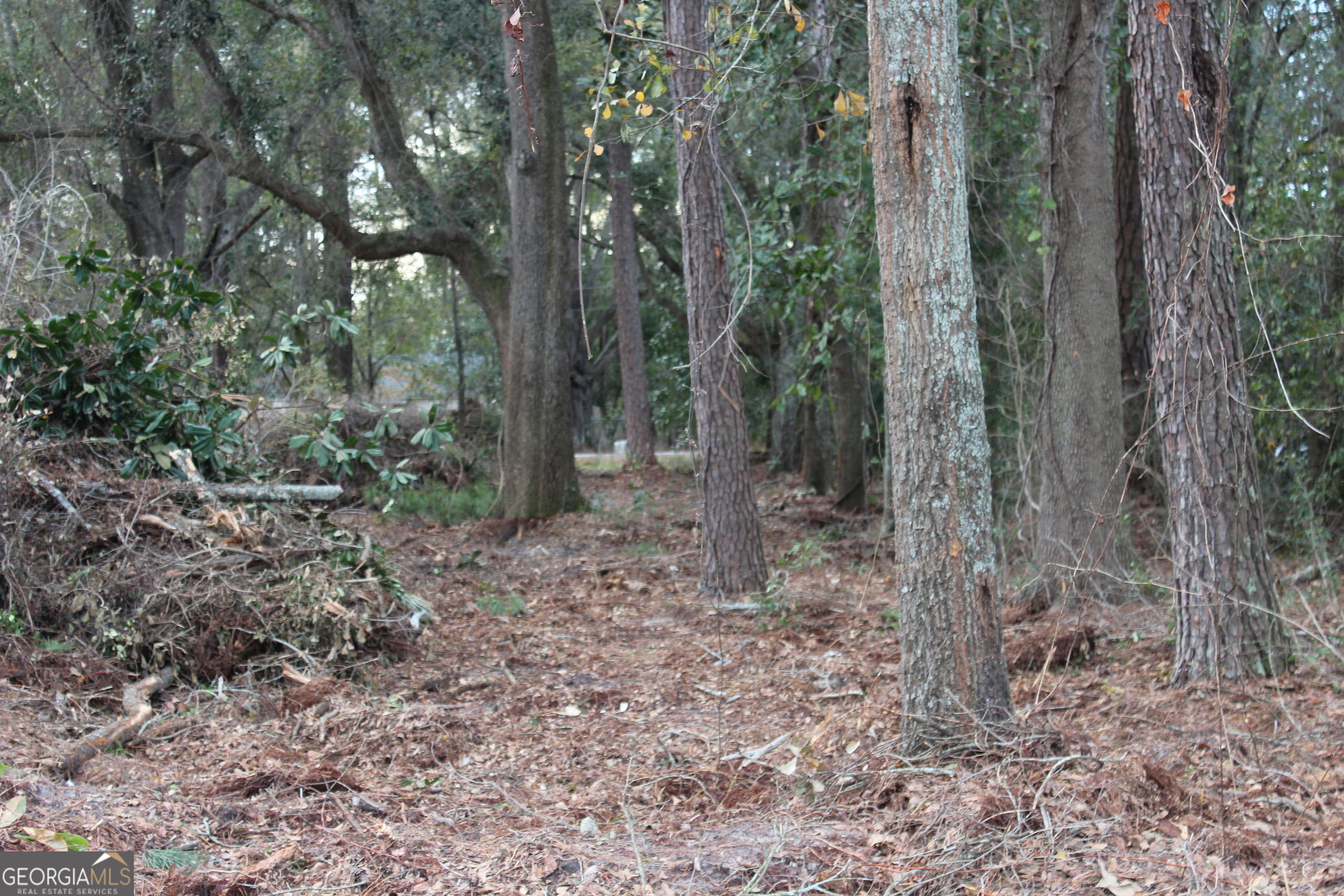 0 Lott Street South Lenox, GA 31637 - Photo 4 of 5