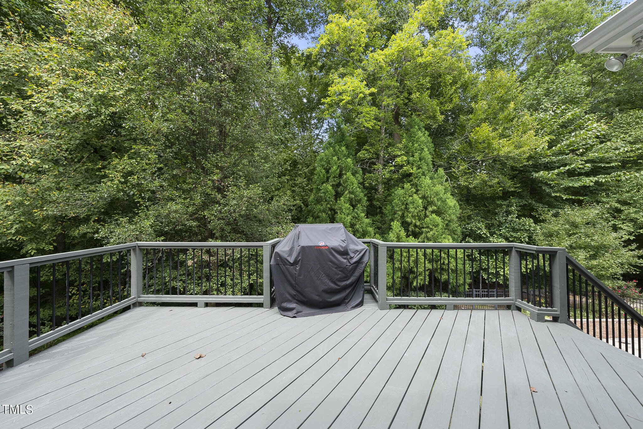 8689 Barrett Ridge Road Wake Forest, NC 27587 - Photo 37 of 55 DSC03916