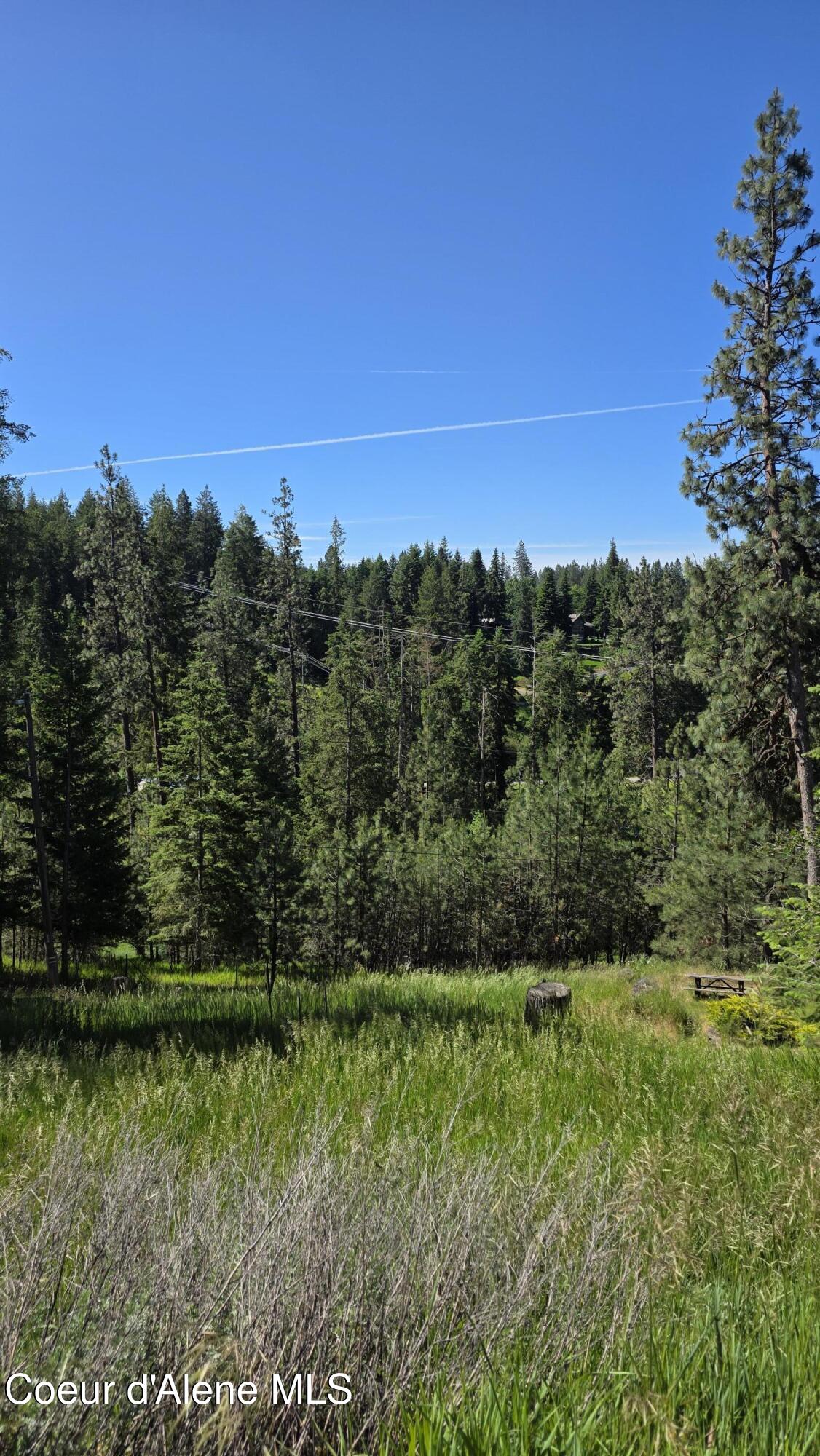 3271 East Springview Drive Coeur D'Alene, ID 83814 - Photo 3 of 10 20260612_093905
