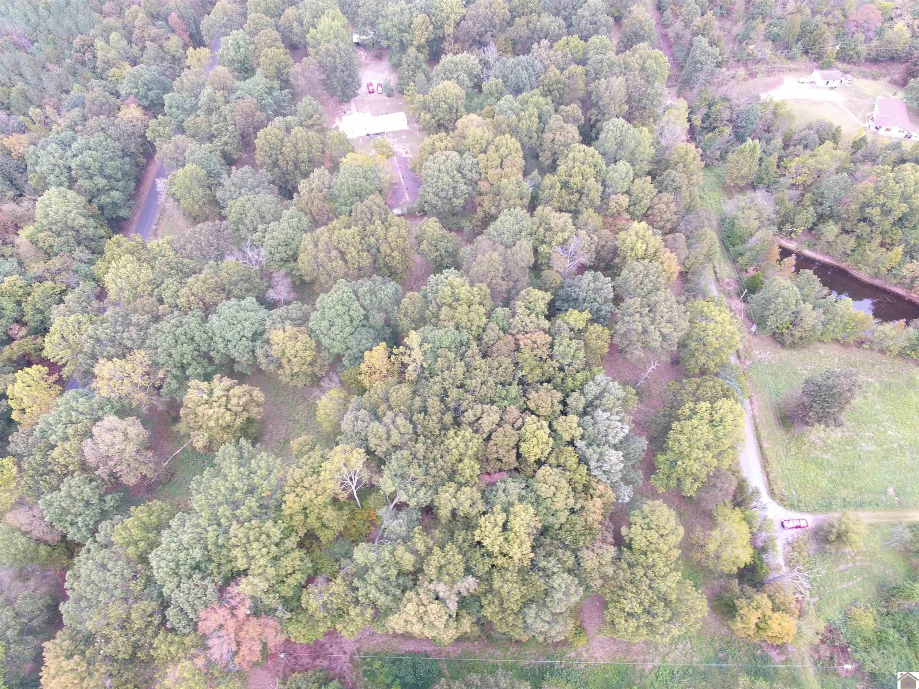 0 Collins Farm Road Benton, KY 42025 - Photo 1 of 1 Photo 1