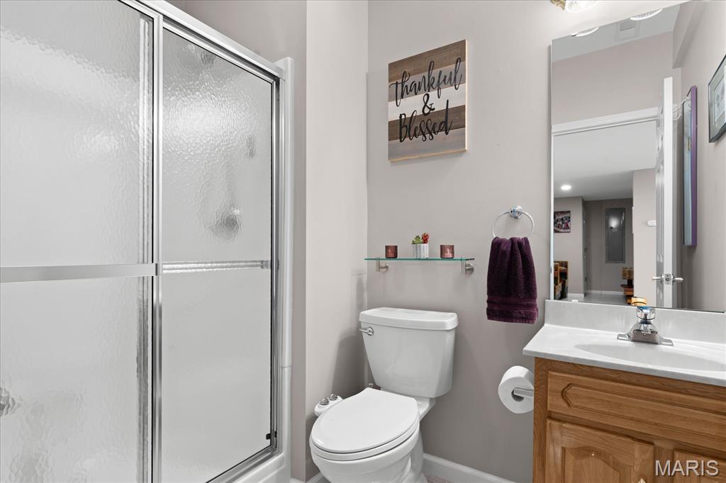 286 Red Clover Circle O'Fallon, IL 62269 - Photo 46 of 62