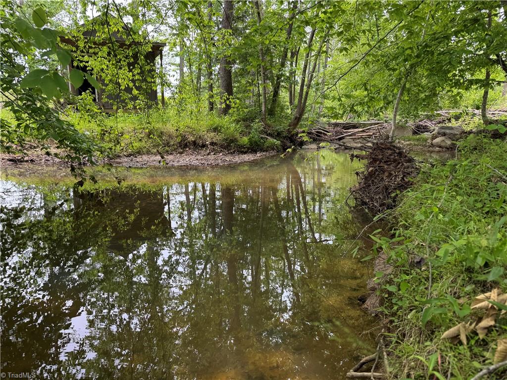 Lot 8 Skeens Mill Road Trinity, NC 27370 - Photo 3 of 10