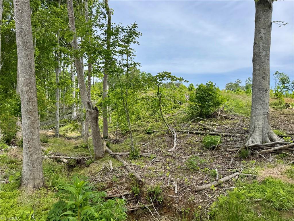 Lot 8 Skeens Mill Road Trinity, NC 27370 - Photo 5 of 10
