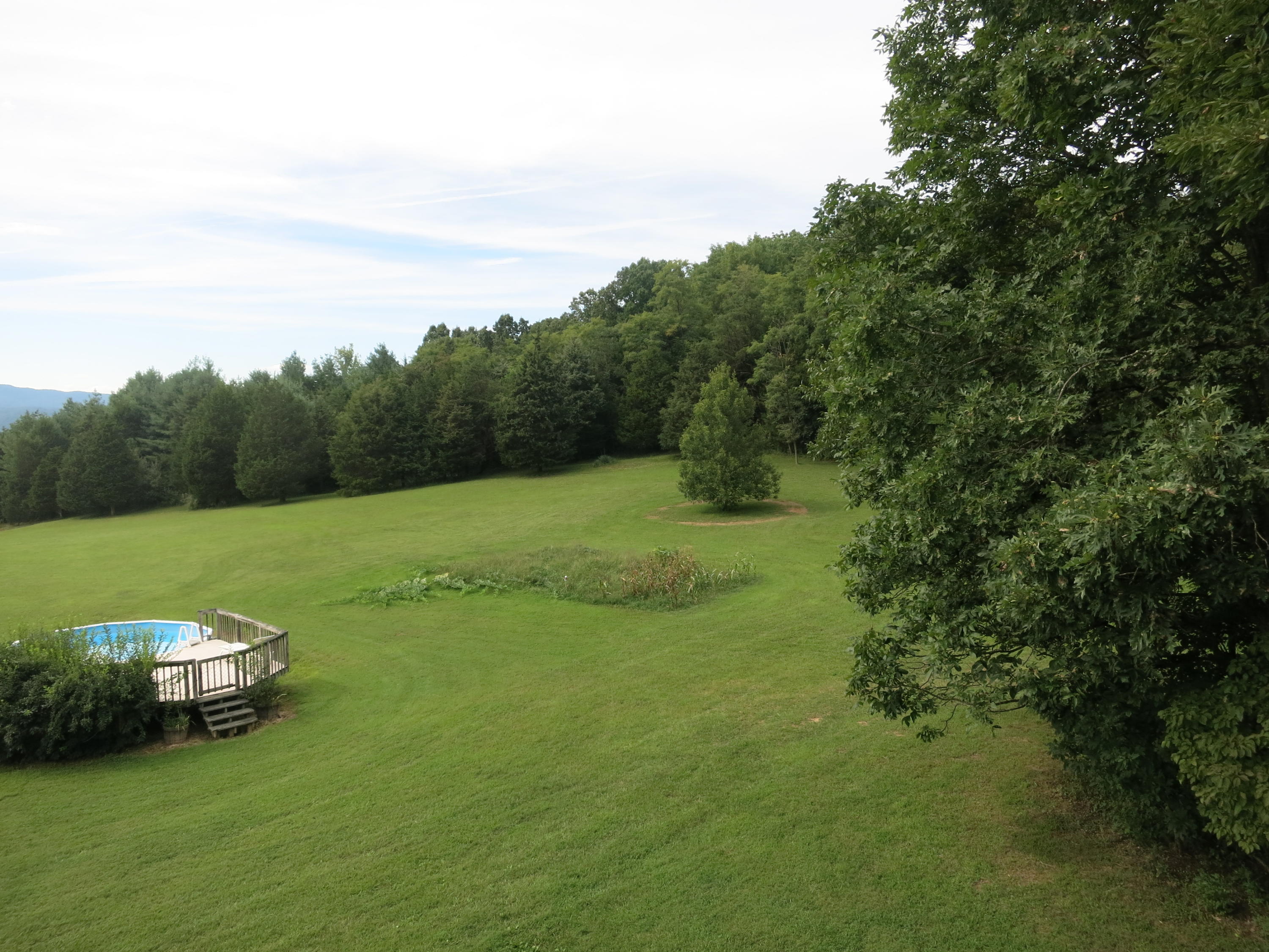 246 Stage Road Buchanan, VA 24066 - Photo 17 of 88 Pool