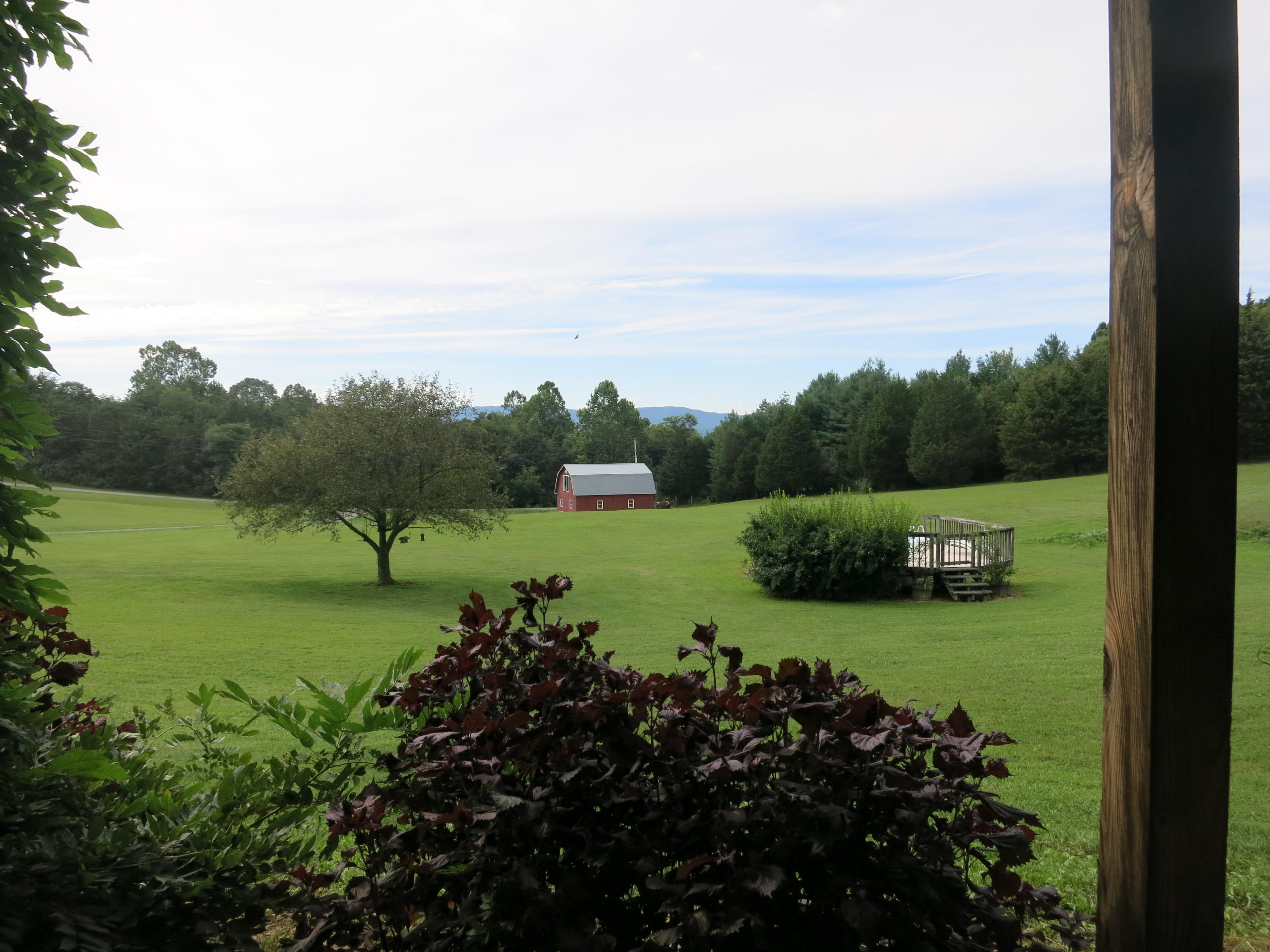 246 Stage Road Buchanan, VA 24066 - Photo 4 of 88 View out front