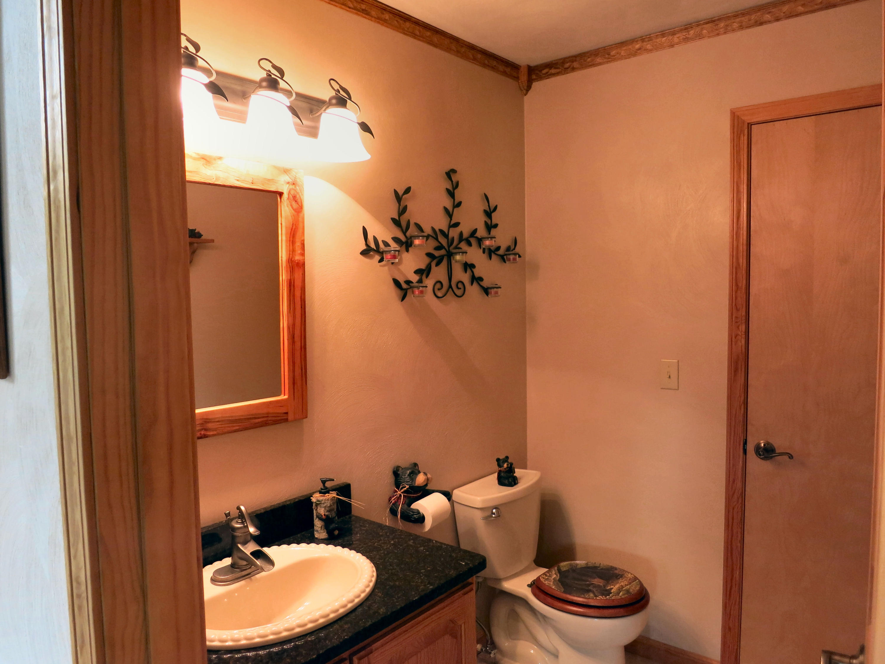 246 Stage Road Buchanan, VA 24066 - Photo 46 of 88 Half Bath off Kitchen
