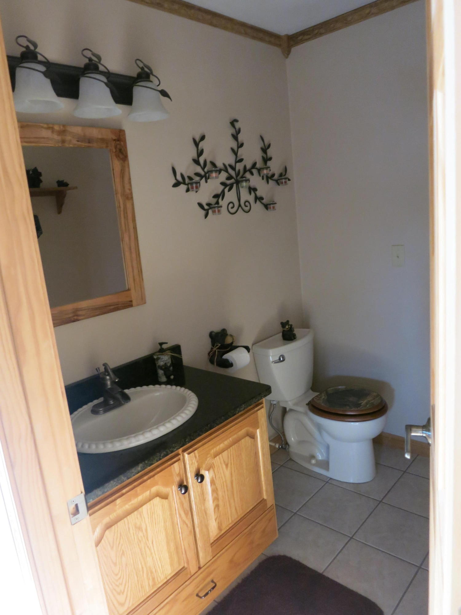246 Stage Road Buchanan, VA 24066 - Photo 47 of 88 Half Bath off Kitchen