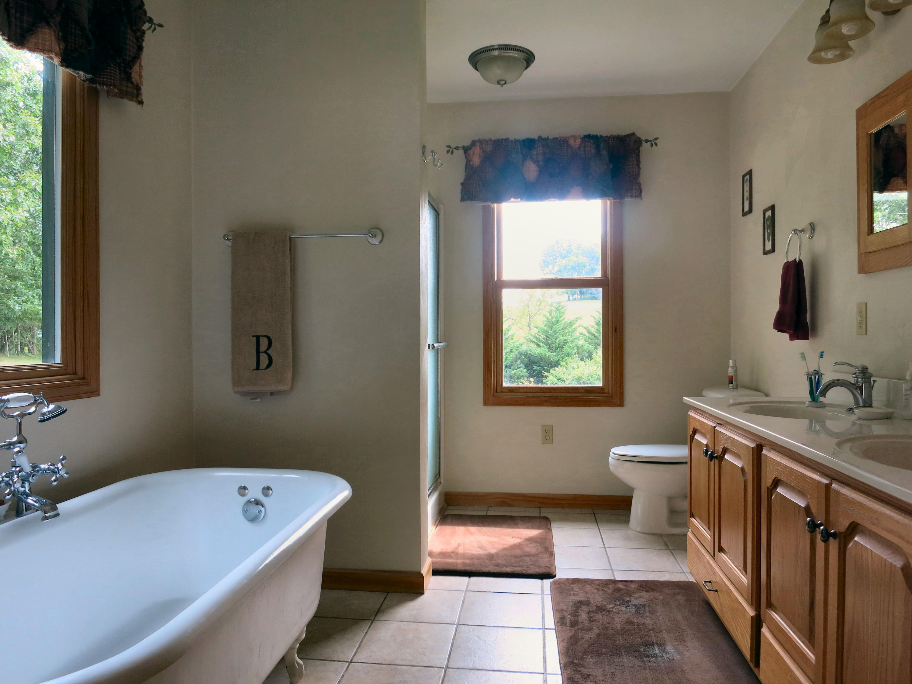 246 Stage Road Buchanan, VA 24066 - Photo 54 of 88 Master Bath