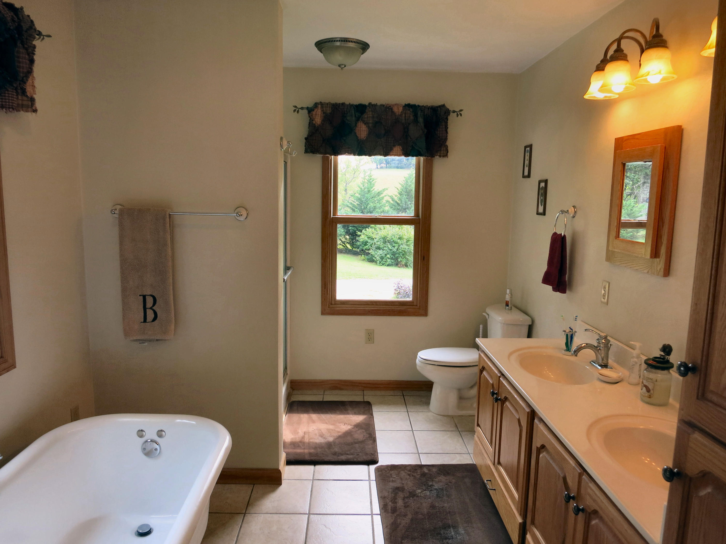 246 Stage Road Buchanan, VA 24066 - Photo 55 of 88 Master Bath