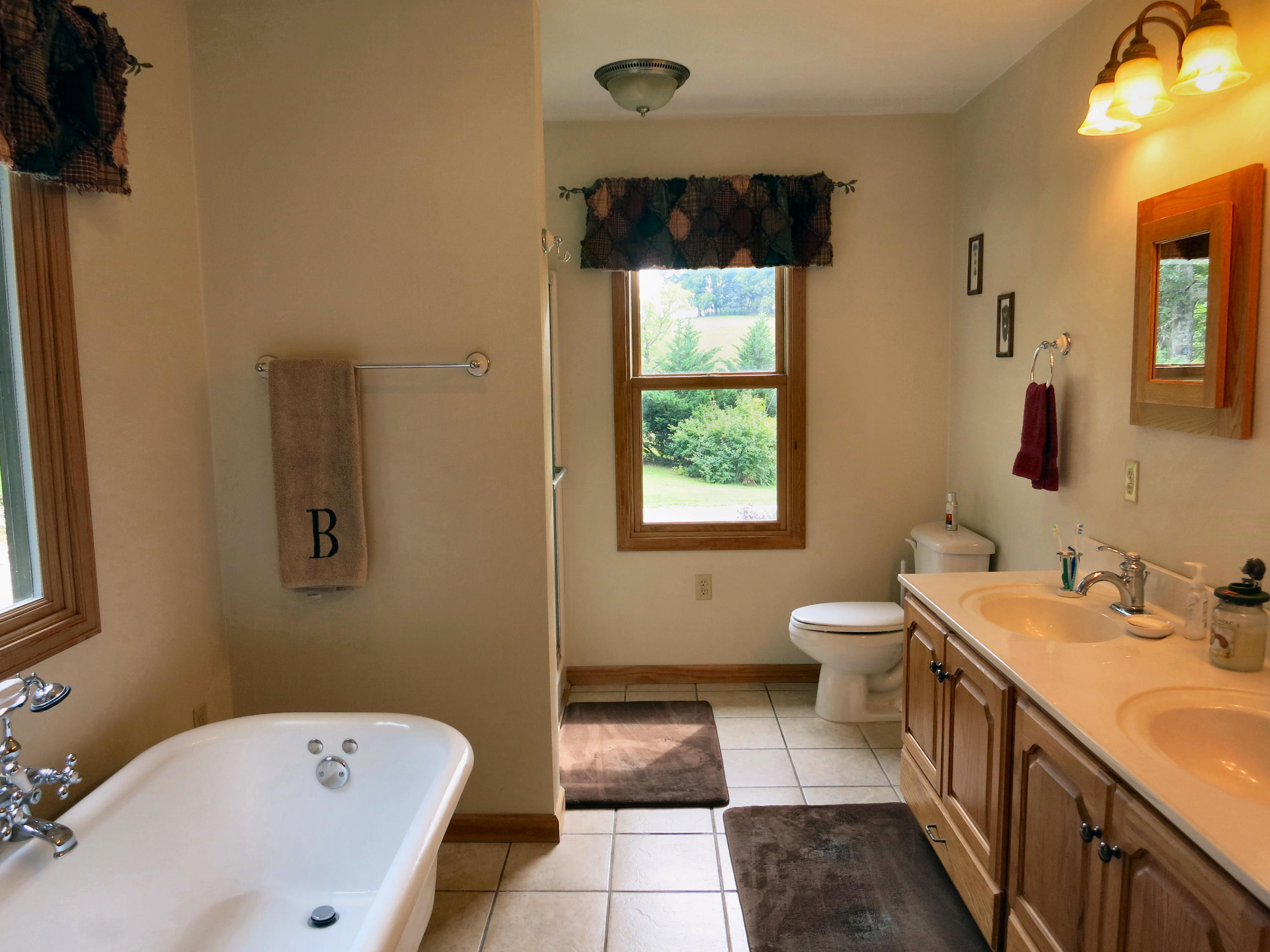 246 Stage Road Buchanan, VA 24066 - Photo 56 of 88 Master Bath