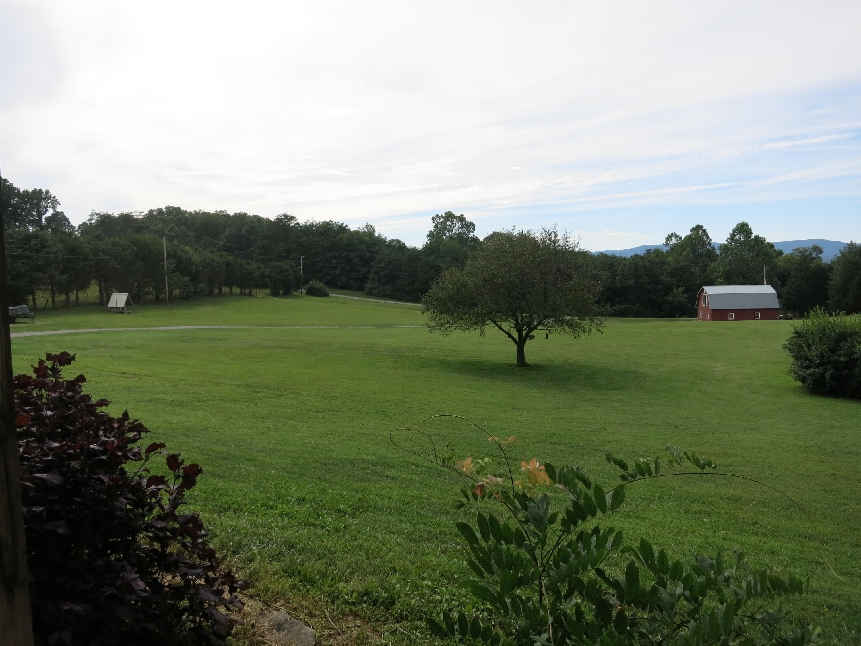 246 Stage Road Buchanan, VA 24066 - Photo 7 of 88 View out front