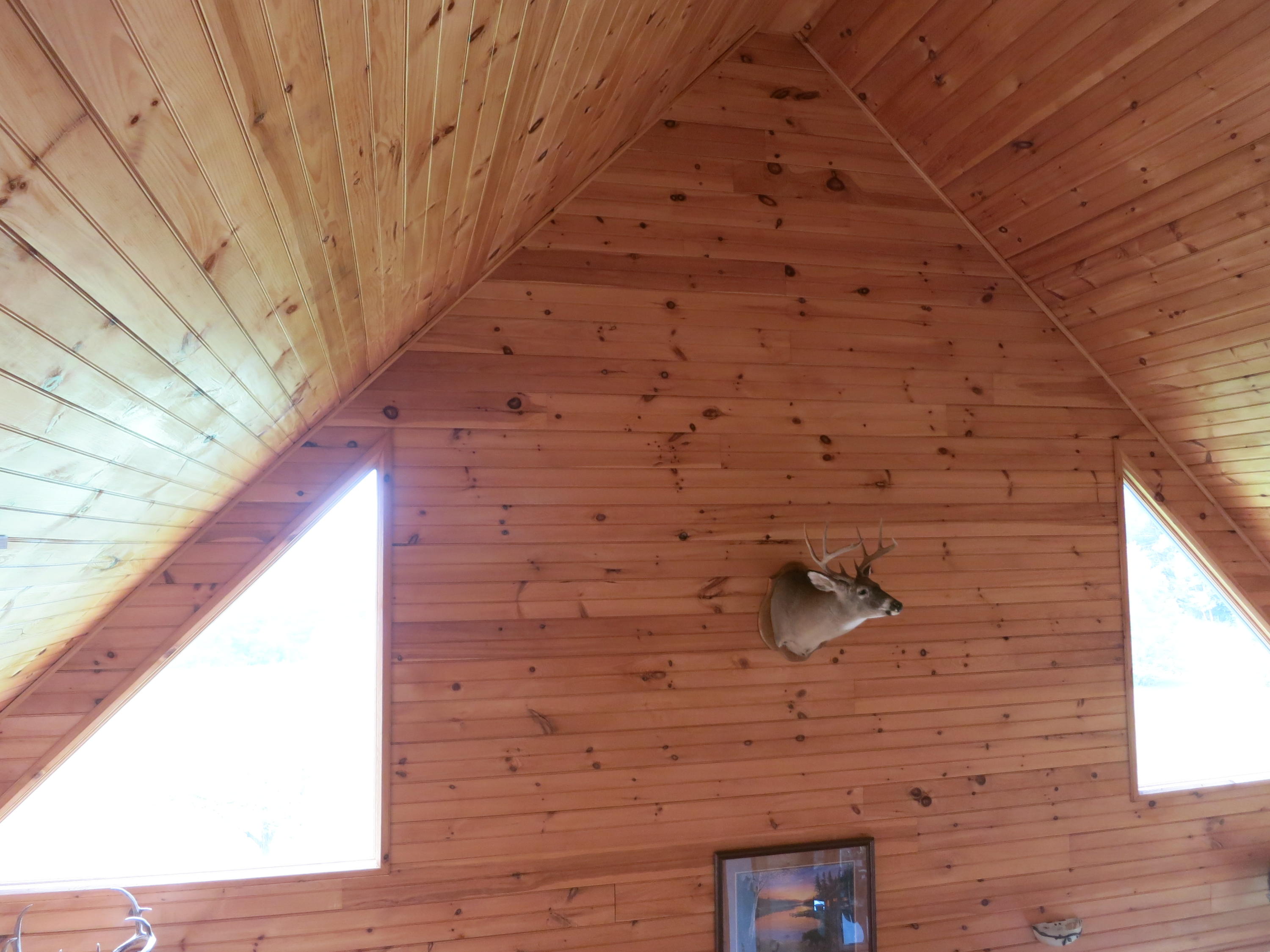 246 Stage Road Buchanan, VA 24066 - Photo 65 of 88 Loft