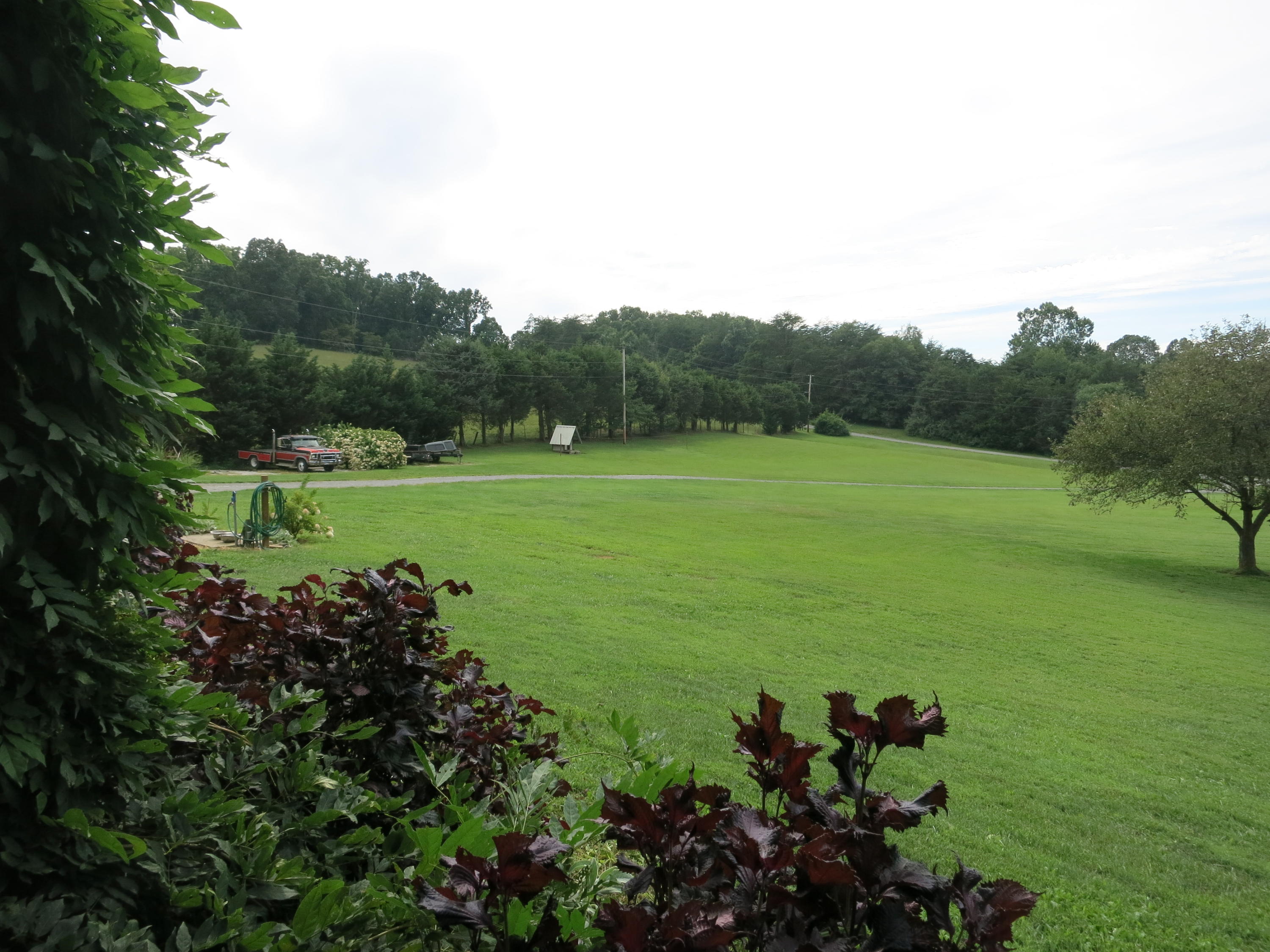 246 Stage Road Buchanan, VA 24066 - Photo 8 of 88 View out front