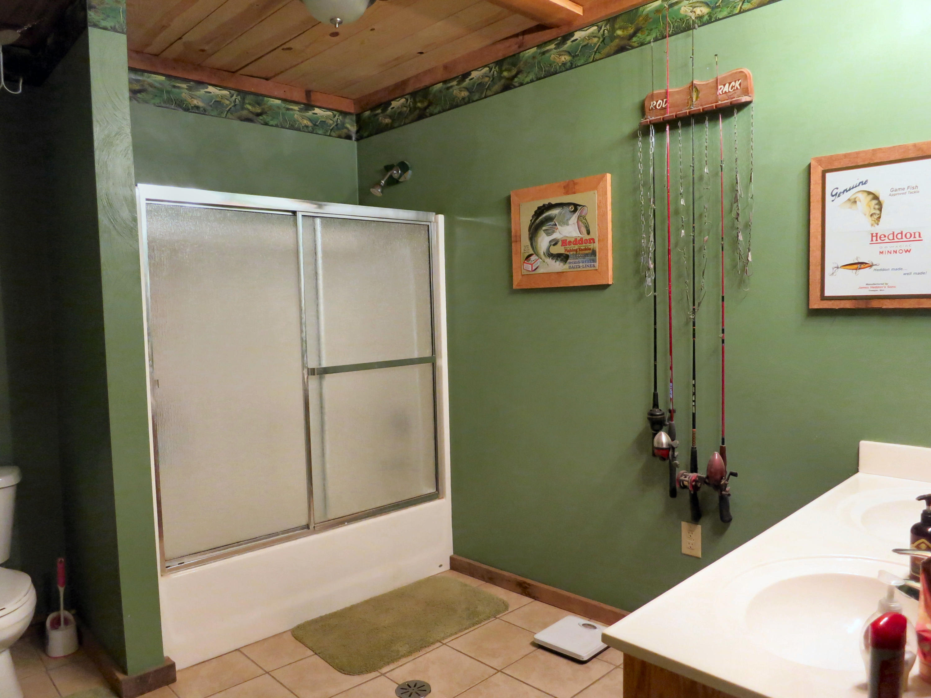 246 Stage Road Buchanan, VA 24066 - Photo 80 of 88 3rd Full Bath Downstairs